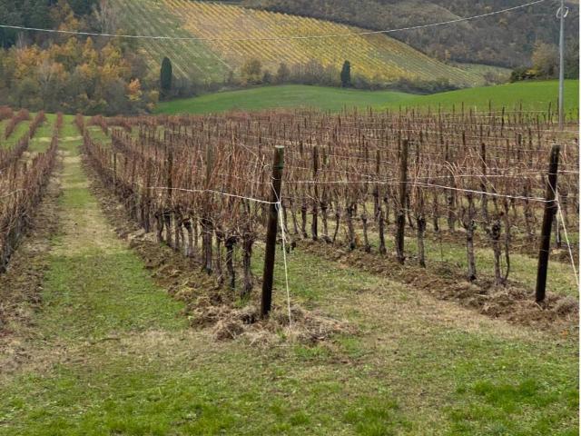 Terreno in vendita a Nuovo Circondario Imolese, Imola