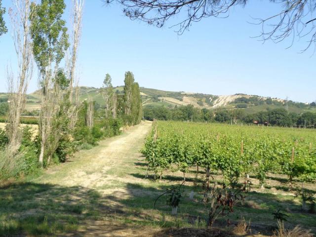 Terreno in vendita a Nuovo Circondario Imolese, Imola