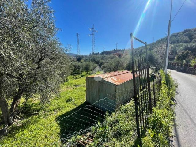 Terreno in vendita a Oliveto, Imperia