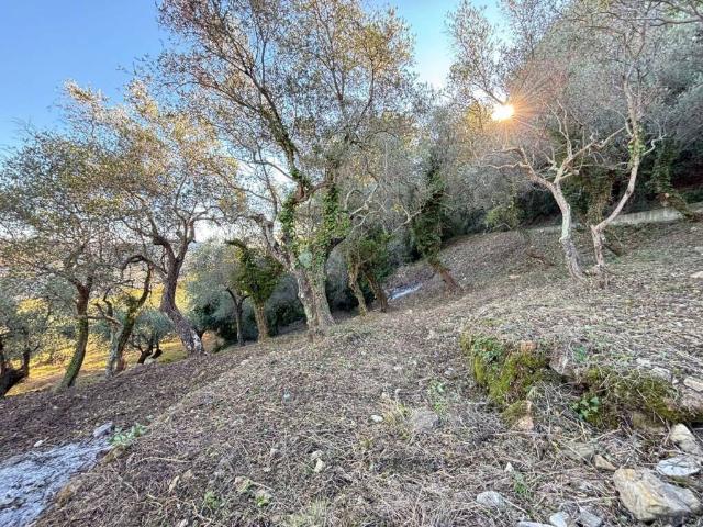 Terreno in vendita a Imperia, Liguria