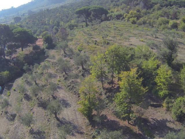Terreno in vendita a Poggi Inferiore, Imperia