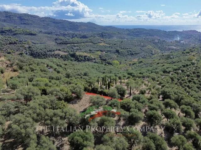 Terreno in vendita a Dolcedo, Liguria