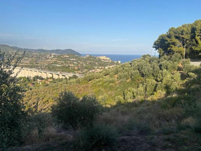 Terreno in vendita a Poggi, Imperia