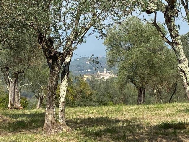 Terreno in vendita a Le Rose, Impruneta