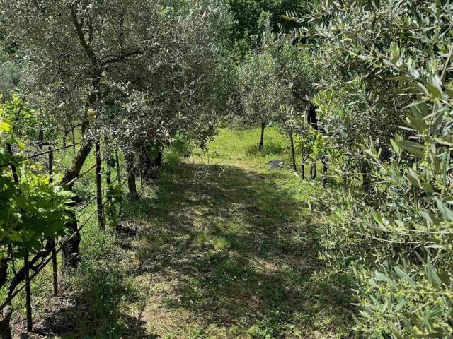 Terreno in vendita a Impruneta, Toscana
