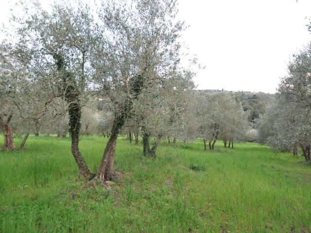 Terreno in vendita a Mezzomonte, Impruneta