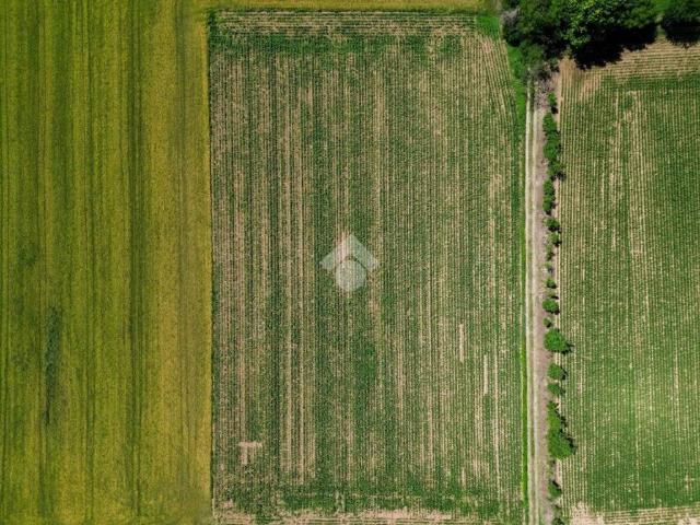 Terreno in vendita a Inzago, Lombardia