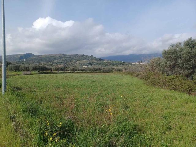 Terreno in vendita a Calabria, Catanzaro