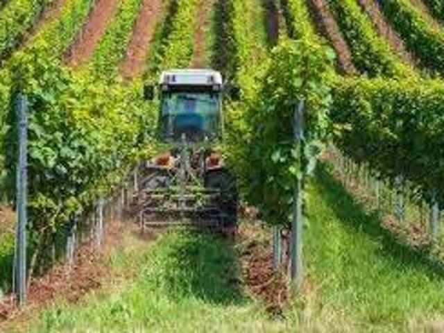 Terreno in vendita a Comunità della Vallagarina, Isera