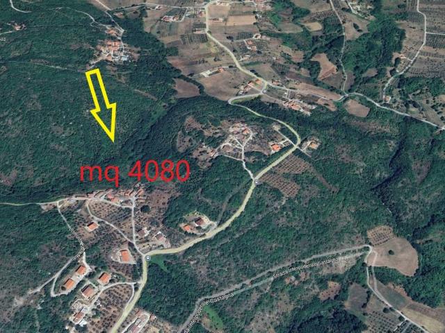 Terreno in vendita a Isernia, Molise