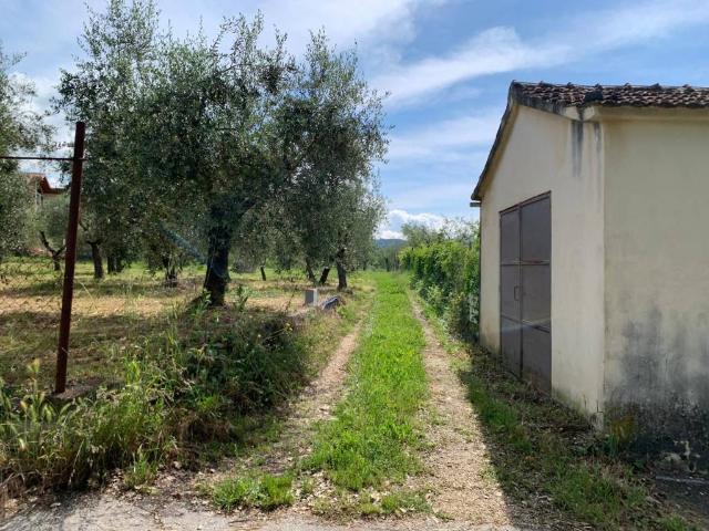Terreno in vendita a Isernia, Molise
