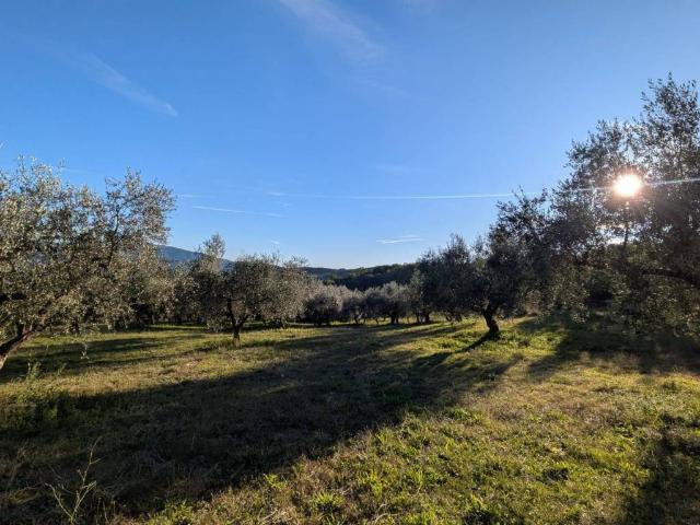 Terreno in vendita a Isernia, Molise