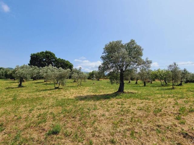 Terreno in vendita a Isernia