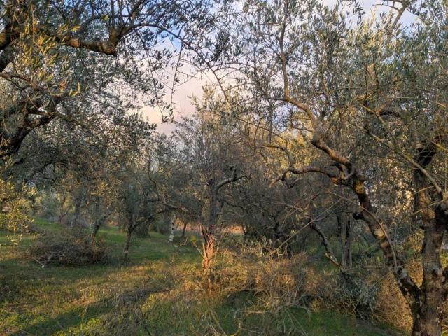 Terreno in vendita a Isernia, Molise