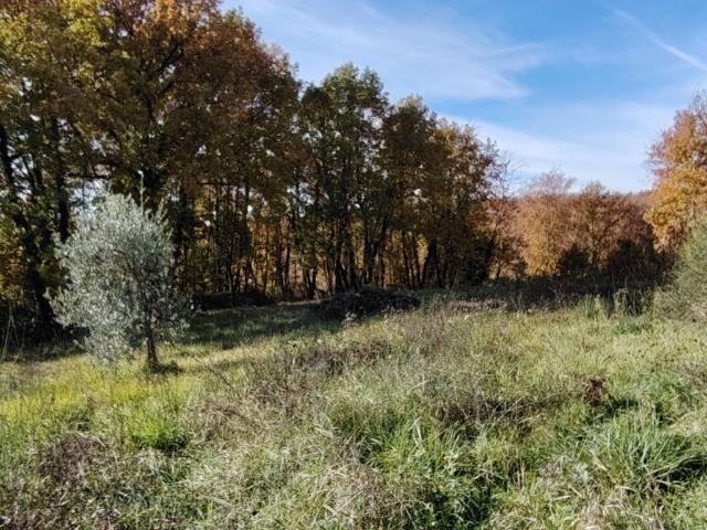Terreno in vendita a San Lazzaro, Isernia