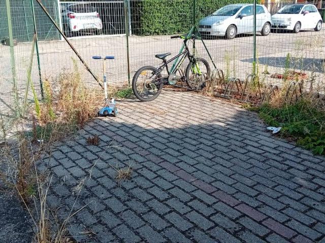 Terreno in vendita a Isola Della Scala, Veneto