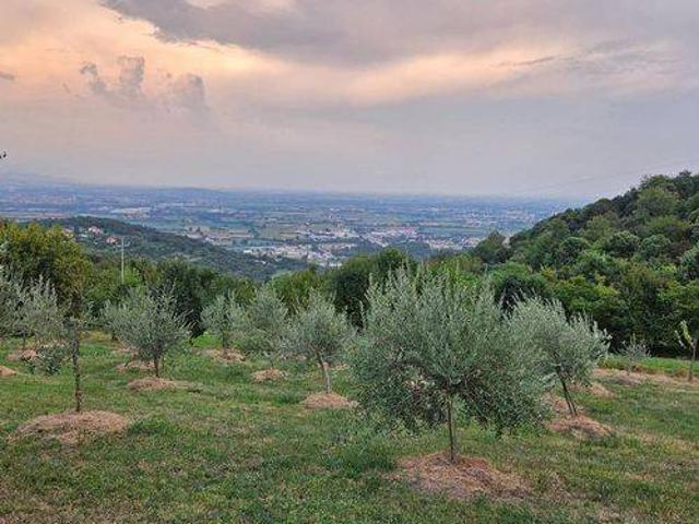 Terreno in vendita a Isola Vicentina, Veneto