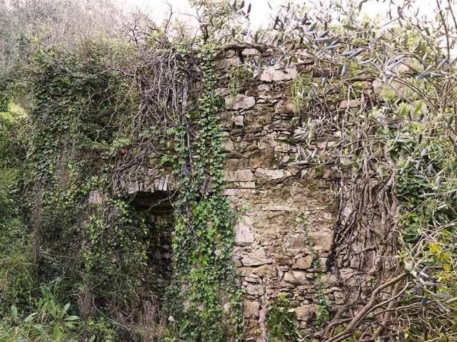 Terreno in vendita a Isolabona, Liguria