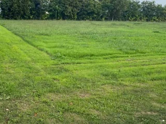Terreno in vendita a Isorella, Lombardia