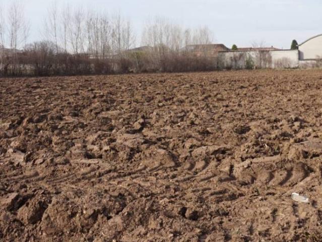 Terreno in vendita a Isorella, Lombardia