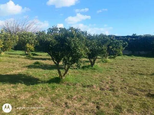 Terreno in vendita a Ispica, Sicilia