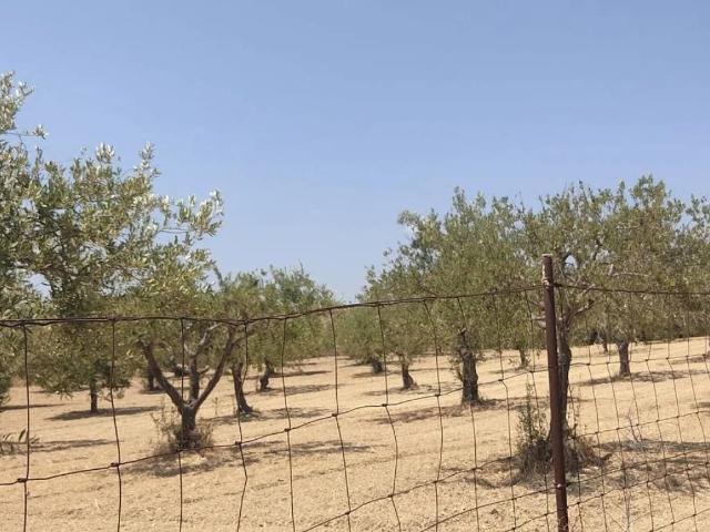 Terreno in vendita a Ispica, Ragusa