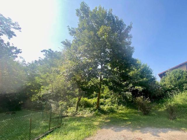 Terreno in vendita a Ispra, Lombardia