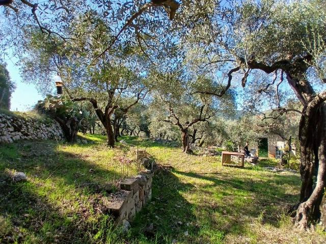 Terreno in vendita a Itri, Lazio