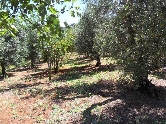 Terreno in vendita a Itri, Lazio