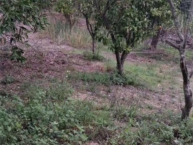 Terreno in vendita a Itri, Lazio
