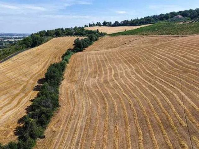 Terreno in vendita a Borgo Minonna, Marche