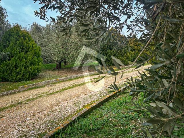 Terreno in vendita a Marche, Ancona