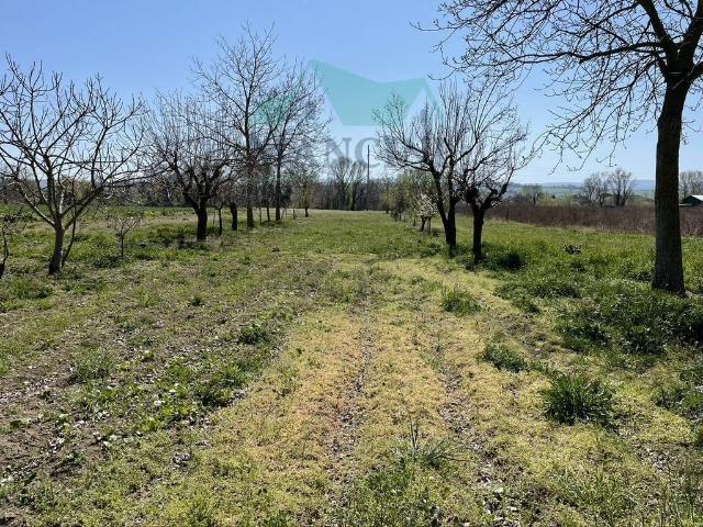 Terreno in vendita a Marche, Ancona