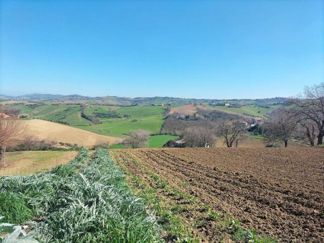 Terreno in vendita a Marche, Ancona