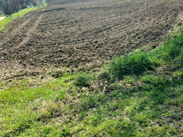 Terreno in vendita a Marche, Ancona