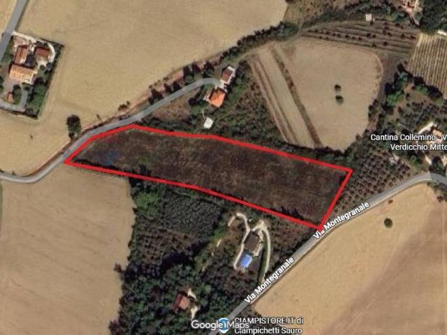 Terreno in vendita a Borgo Minonna, Marche