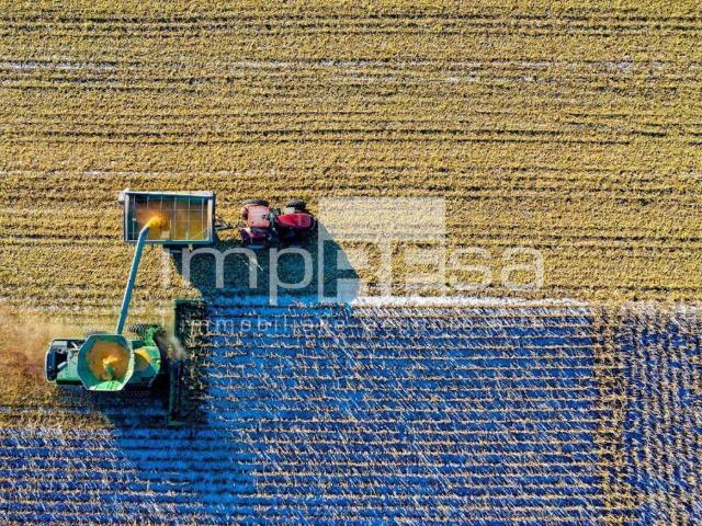 Terreno in vendita a Quattro Case, Jesolo