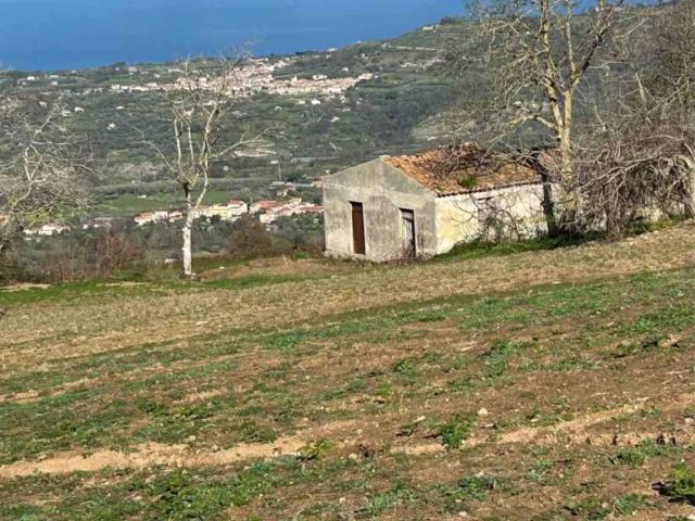 Terreno in vendita a Calabria, Vibo Valentia