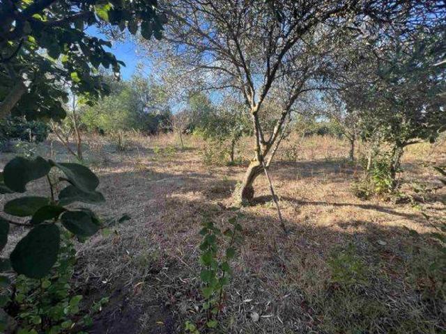 Terreno in vendita a Villaggio Maddalena, Sardigna/Sardegna