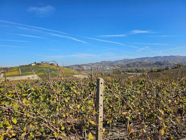 Terreno in vendita a Piemonte, Cuneo