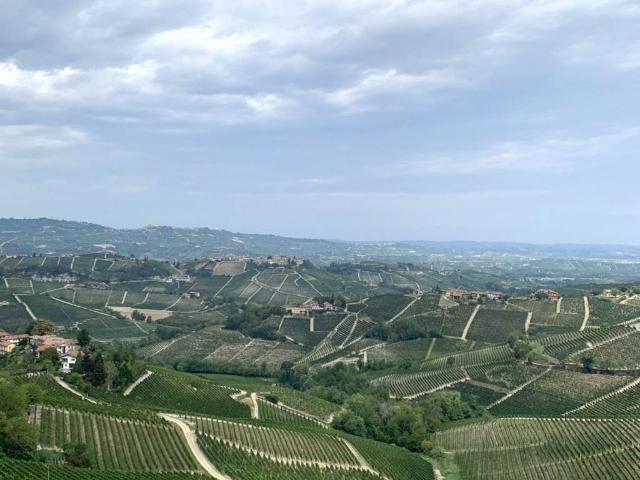 Terreno in vendita a Piemonte, Cuneo