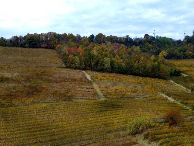Terreno in vendita a Piemonte, Cuneo
