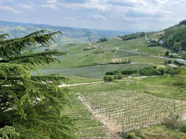 Terreno in vendita a Piemonte, Cuneo