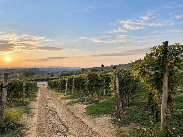 Terreno in vendita a Santa Maria, La Morra