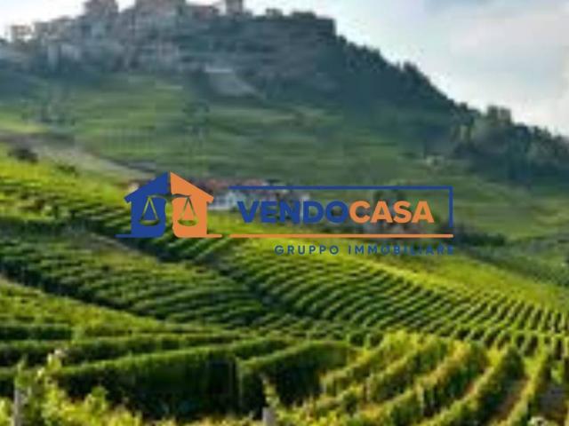 Terreno in vendita a Piemonte, Cuneo