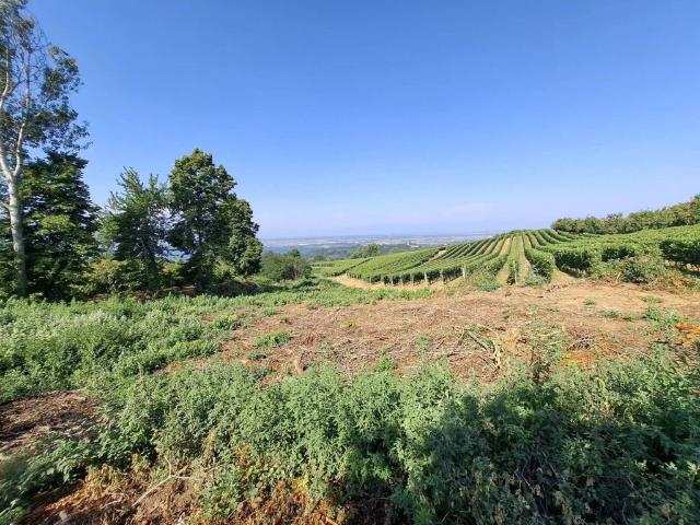 Terreno in vendita a Piemonte, Cuneo