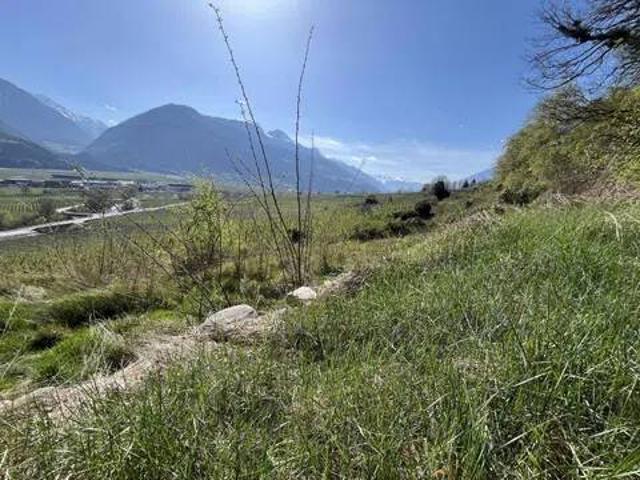 Terreno in vendita a Vinschgau - Val Venosta, Laces - Latsch