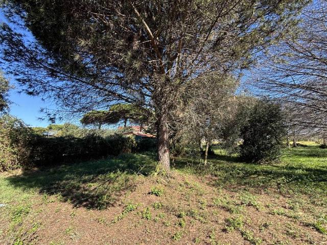 Terreno in vendita a Palo Laziale, Roma Capitale