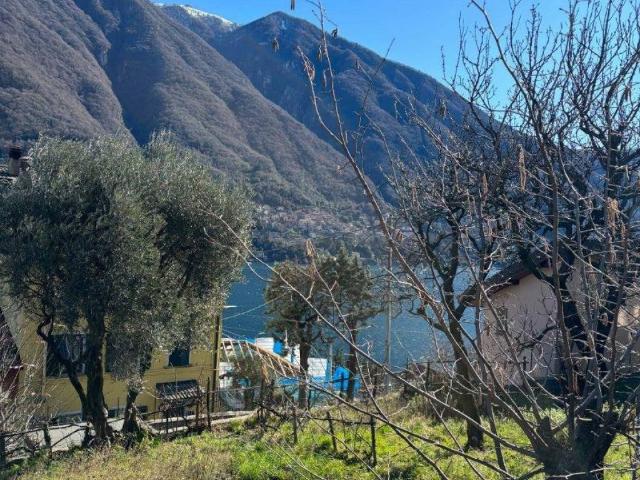 Terreno in vendita a Laglio, Lombardia