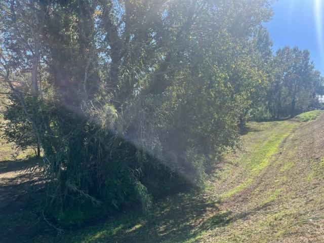Terreno in vendita a Lajatico, Toscana
